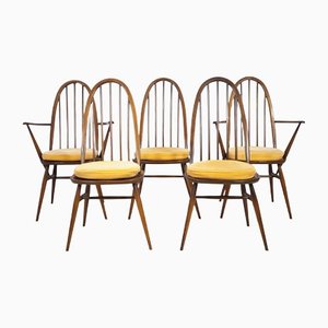 Mid-Century Ercol 365 Quaker Dining Chair by Lucian Ercolani for Ercol