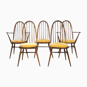 Silla de comedor Ercol 365 Quaker Mid-Century de Lucian Ercolani para Ercol