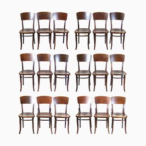 NR57 Chairs from Thonet, 1920s, Set of 18