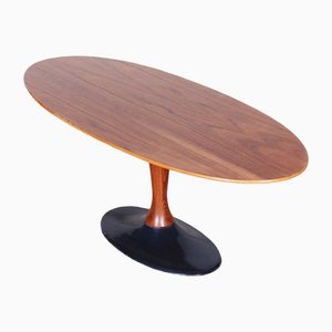 Mid-Century Czech Rosewood Oval Table with Cast Iron Base, 1950s