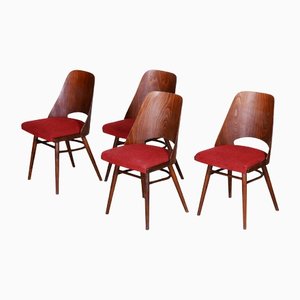 Czech Brown and Red Beech Chairs by Oswald Haerdtl, 1950s, Set of 4