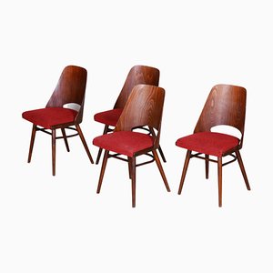 Czech Beechwood Chairs by Oswald Haerdtl, 1950s, Set of 4