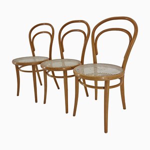 Bentwood Nr. 14 Chairs by Michael Thonet, 1950s, Set of 3