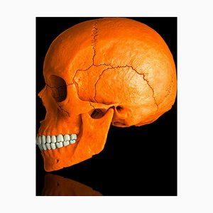 Mr Strange, Orange Skull, 2021, Giclée Druck auf Aludibond Tafel