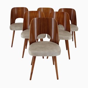 Mahogany Dining Chairs from Oswald Haerdtl, Czechoslovakia, 1960s, Set of 6