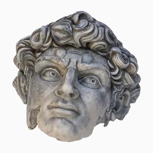 Head of David Fiberglass Sculpture