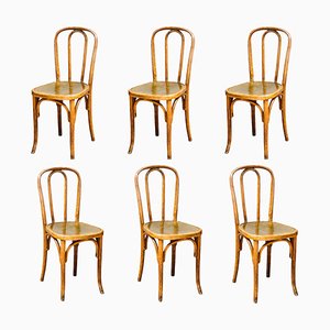 Antique French Fischel Bistro Chairs from Thonet, Set of 6