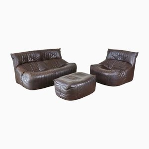 Vintage Brown Leather Aralia Seating by Michel Ducaroy for Ligne Roset, 1970s, Set of 3