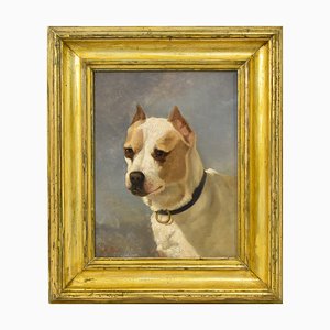 Small Dog, 19th Century, Oil on Canvas, Framed