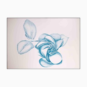 Giacomo Porzano, Blue Rose, Original Etching, 1970s