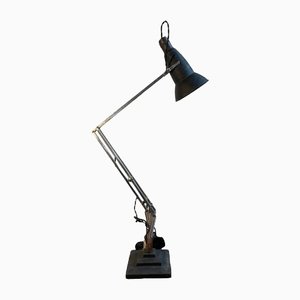 Antique Anglepoise Three Step 1227 Desk Lamp from Herbert Terry