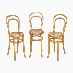 Austrian Bentwood High Back Kitchen Chairs from Thonet, 1920s, Set of 3