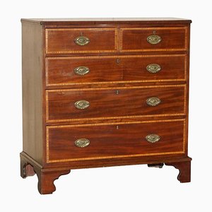 Antique Sheraton Revival Chest of Drawers in Mahogany Satinwood by F. Thomas Halesowen