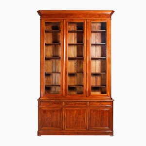 Ancient Library Cabinet