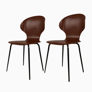 Model Lulli Chairs by Carlo Ratti, Set of 10