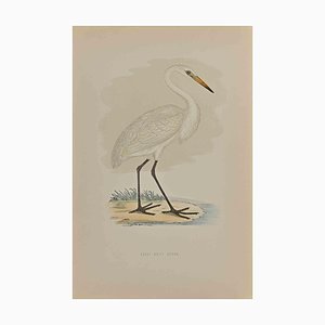 Grabado en madera original de Alexander Francis Lydon, Great White Heron, 1870