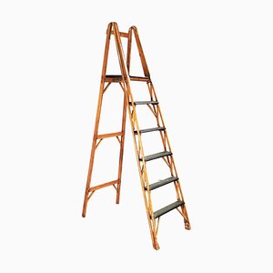 Mid-Century Modern Italian Polished Wooden Step Ladder Stair by Scorta, 1950s