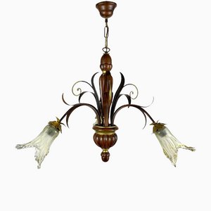 Vintage Belgian Chandelier with Flower Shaped Plafond, 1970s