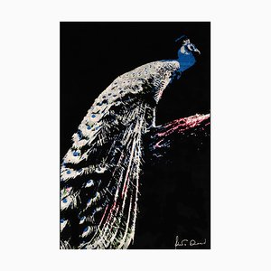 Tapis The Peacock par Roberta Diazzi