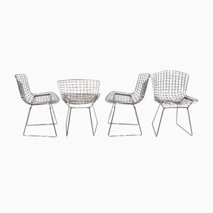 Chairs by Harry Bertoia for Knoll, Set of 4