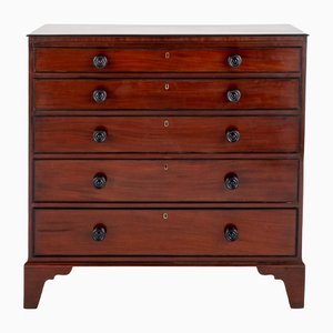 Regency Chest of Drawers in Mahogany