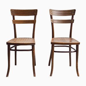 Sedie da bistrò di Thonet, anni '30, set di 2