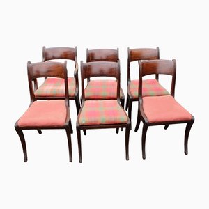 Regency Esszimmerstühle aus Mahagoni, 1830er, 6er Set