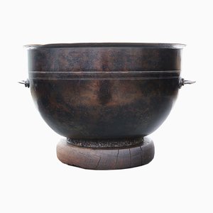 Antique Oriental Japanese Bronze Bowl Planter, 1900s