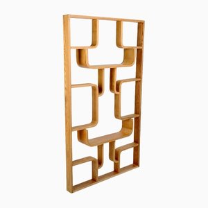 Mid-Century Room Divider by Ludvik Volák for Holes Tree, 1960s