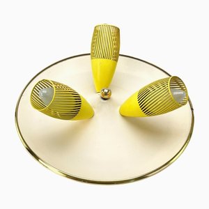 Mid-Century Ceiling Lamp from Hillebrand, 1950s