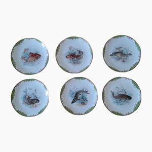 Juego de comederos antiguo de porcelana con motivo de pez de Rosenthal, 1928. Juego de 6