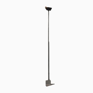 Eidos Floor Lamp by Manlio Brusatin for Sirrah, Italy, 1980s