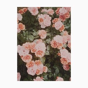 David Urbano, The Rose Garden No. 21, Photographic Giclee Print