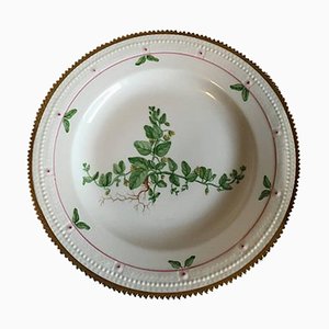 Flora Danica Dinner Plate No. 735/3549 from Royal Copenhagen