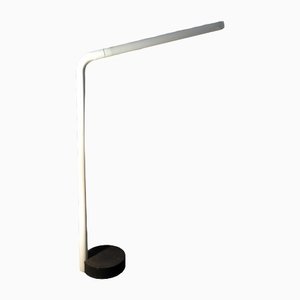 Iron and Acrylic Glass Tube and Neon Inner Cast Floor Lamp, 1970s