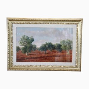 Italian Landscape With Olive Trees, 1970s, Oil on Canvas, Framed