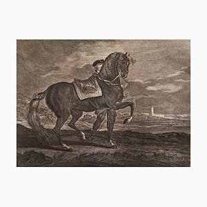 Johann Elias Riedinger, Incisione in rame della scuola di equitazione grande, Augusta 1734, Cheval Barbe, fine XIX secolo