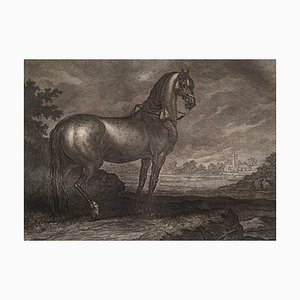 Johann Elias Riedinger, Copper Engraving From the Large Riding School, Augsburg 1734, Cheval Frise, 1890s