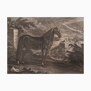 Gravure sur Cuivre de Johann Elias Riedinger, Augsburg 1734, Un Cheval Du Haras, 1890s