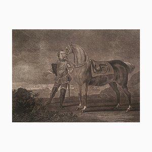 Johann Elias Riedinger, grabado de cobre de la gran escuela de equitación, Augsburg 1734, Cheval D Angletterre, década de 1890