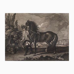 Johann Elias Riedinger, Copper Engraving From the Large Riding School, Augsburg 1734, Napolitain, 1890s