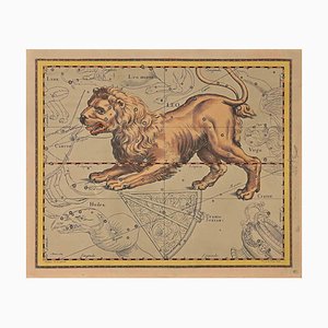 Charles De La Haye, Lion, Gravure à l'Eau-Forte, 18ème Siècle