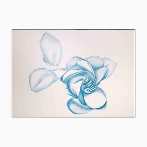 Giacomo Porzano, Blue Rose, Original Etching, 1970s