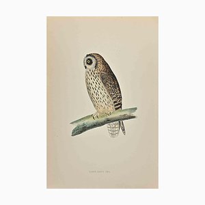 Alexander Francis Lydon, Short-Eared Owl, Woodcut Print, 1870