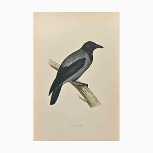 Alexander Francis Lydon, Hooded Crow, Woodcut Print, 1870