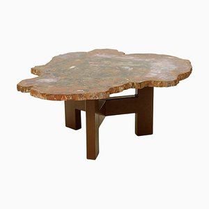 Mid-Century Petrified Wood and Steel Coffee Table