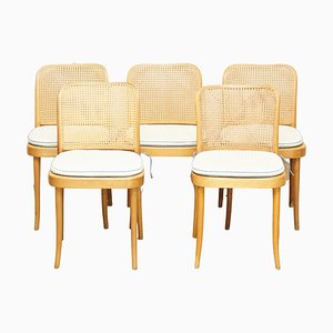 811 Bergere Dinette Dining Chairs by Josef Hoffmann for Thonet, 1920, Set of 5