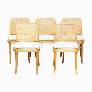 Sedie da pranzo Bergere Dinette di Josef Hoffmann per Thonet, 1920, set di 5