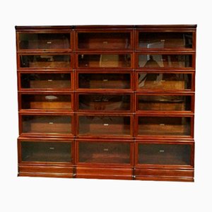 Mahogany Bookcase from Globe Wernicke, Set of 18