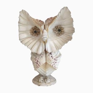 Curious Owl Figurine in Shell